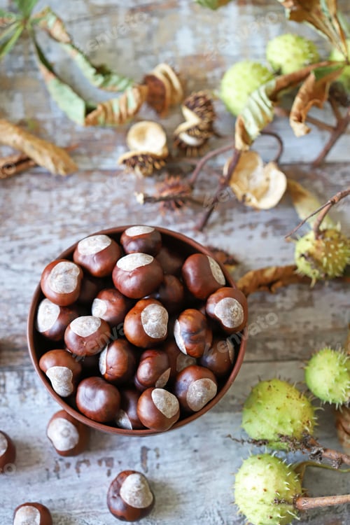 Preview: Chestnuts In A Bowl. Chestnut Leaves. Autumn Composition With Chestnuts.
