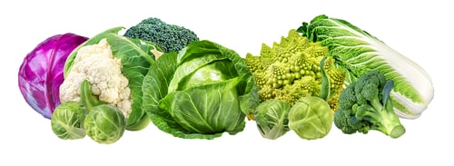 Preview: Collection Cabbages Isolated On A White Background