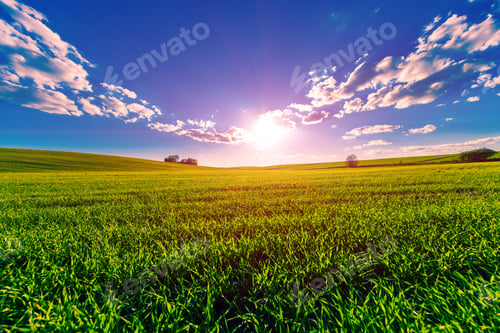 Preview: Green Field And Beautiful Sunset
