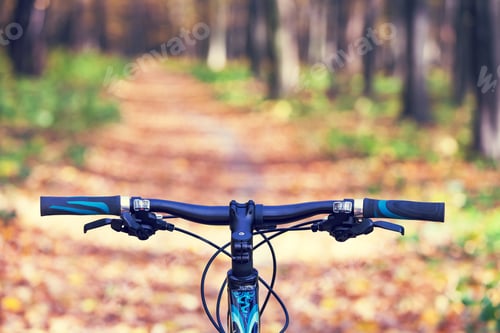 Preview: Mountain Biking Down Hill Descending Fast On Bicycle. View From Bikers Eyes.