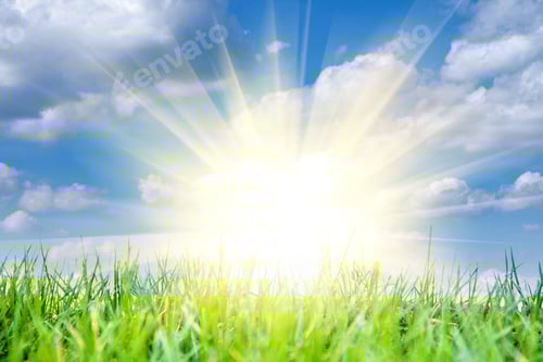 Preview: Green Grass Isolation