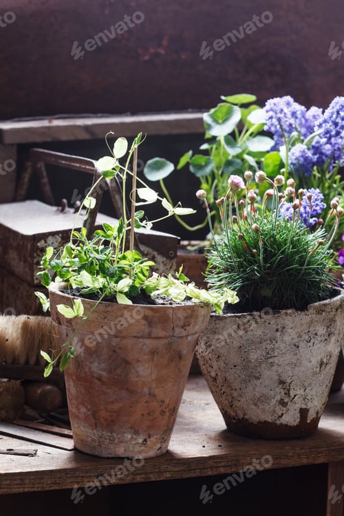 Preview: Spring Flowers