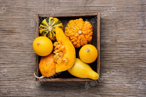 Preview: Autumn Seasonal Background With Pumpkinsin Box.Autumn Nature Concept.Harvesting