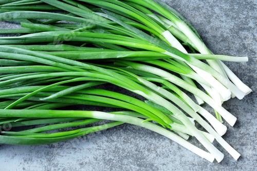 Visualização: A Bunch Of Fresh Spring Onions