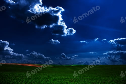 Preview: Green Night Field. Star Sky