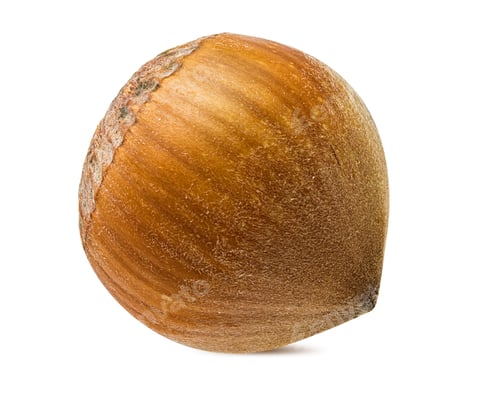 Preview: Hazelnut Isolated On White Background.