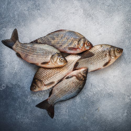 Preview: Crucians. Freshly Caught Raw Fish On A Gray Concrete Or Stone Background. Selective Focus, Top View