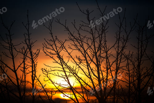 Preview: Beautiful Sunset