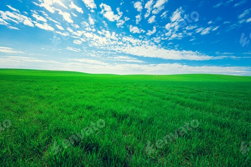 Preview: Green Field And Beautiful Sunset