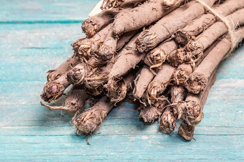 Preview: Bunch Of Raw Scorzonera Or Spanish Salsify. Very Healthy Modern Vegetable, Suitable For Diabetics