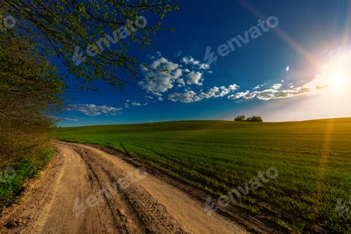 Preview: Green Field And Beautiful Sunset