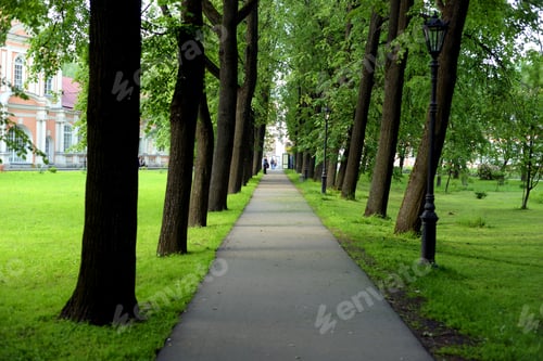 Preview: Alley In The Park At Summer, Russia.