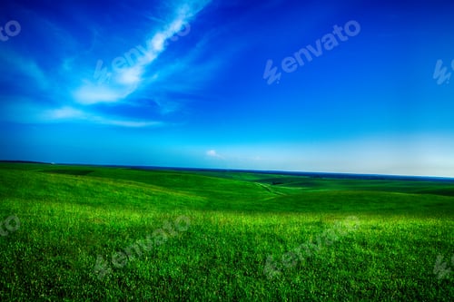 Preview: Green Grass Under Blue Sky