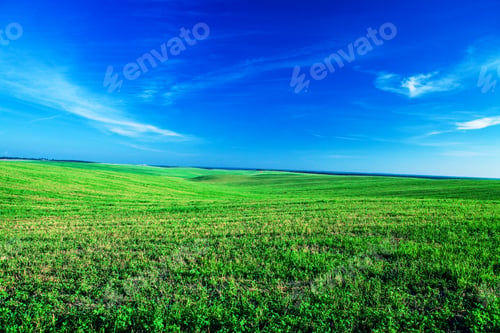 Preview: Beatiful Morning Green Field With Blue Heaven