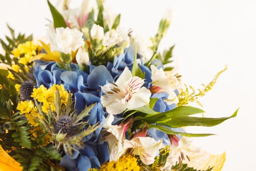 Preview: Nice Flowers