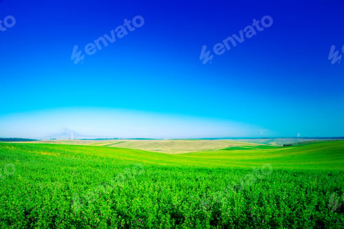 Preview: Green Grass Under Blue Sky