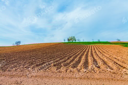 Preview: Green Field And Beautiful Sunset