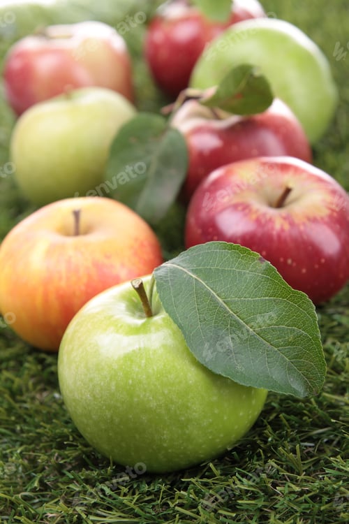 Preview: Abundance Of Apples