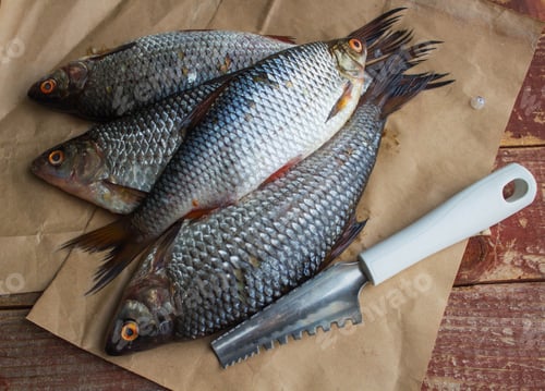 Preview: Fresh Raw Fish And A Knife To Remove The Scales