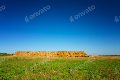 Preview: Haystacks On Wheat Field Under The Beautiful Blue Cloudy Sky