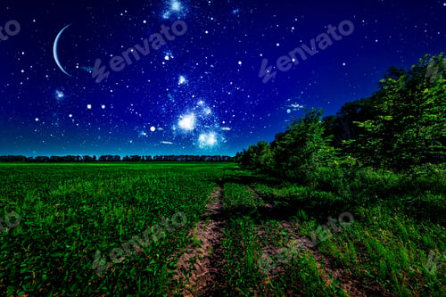 Preview: Green Night Field. Star Sky