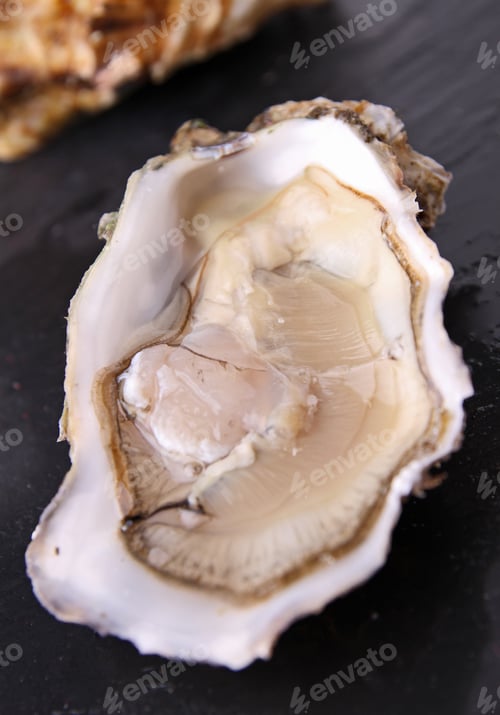 Preview: Oyster