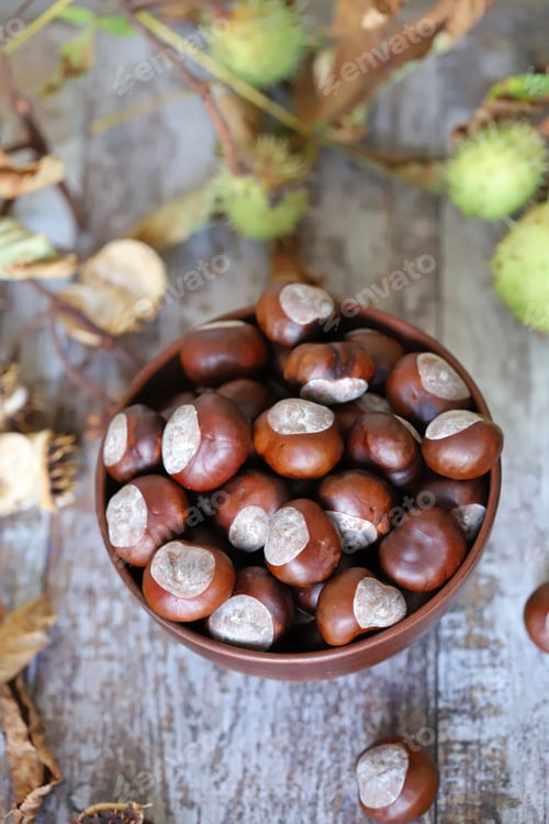 Preview: Chestnuts In A Bowl. Chestnut Leaves. Autumn Composition With Chestnuts.