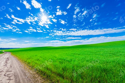 Preview: Green Field And Beautiful Sunset