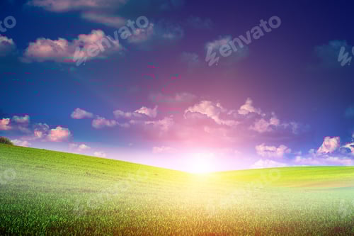 Preview: Green Field And Beautiful Sunset