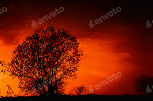 Preview: Beautiful Sunset Is In The Field