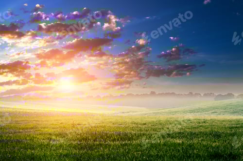 Preview: Green Field And Beautiful Sunset