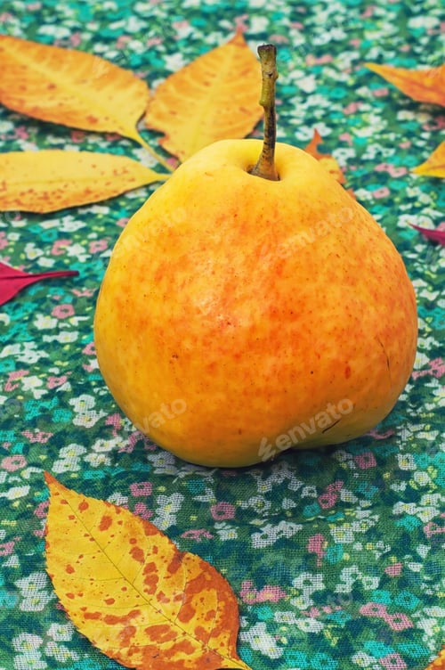 Preview: Delicious Pear On The Background Of Leaves