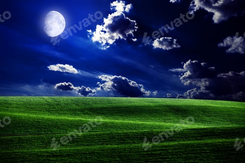 Preview: Green Night Field. Star Sky