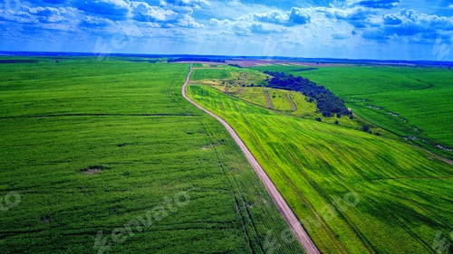 Preview: Landscape Road And Field View From Above