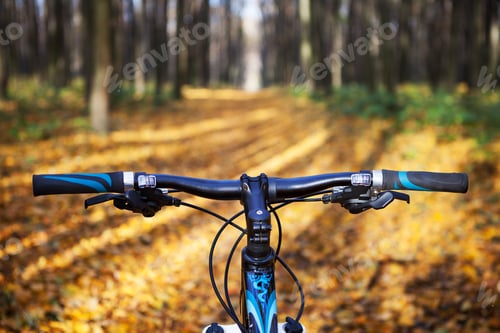 Preview: Mountain Biking Down Hill Descending Fast On Bicycle. View From Bikers Eyes.