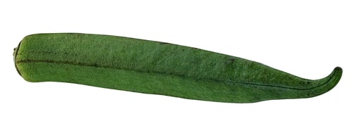 Preview: Okra, Ladyfinger, Bhindi (Abelmoschus Esculentus) On The White