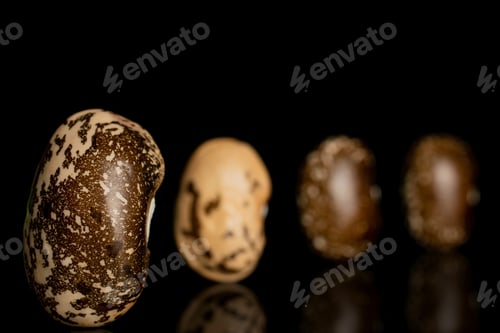 Preview: Group Of Four Whole Speckled Brown Bean Pinto Front Focus Isolated On Black Glass