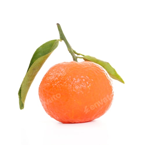 Preview: Clementine
