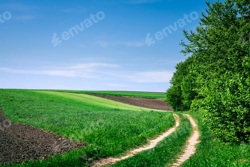 Preview: Beatiful Morning Green Field With Blue Heaven