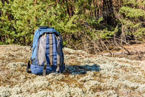 Preview: Backpack On A Ground In Coniferous Forest