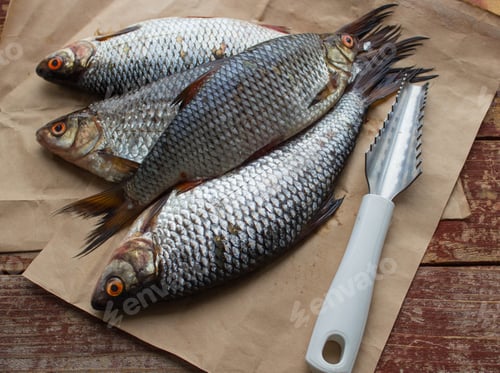 Preview: Fresh Raw Fish And A Knife To Remove The Scales