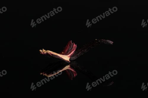 Preview: One Piece Of Hibiscus Flower Of Lingonberry Strawberry Fruit Tea Macro Isolated On Black Glass