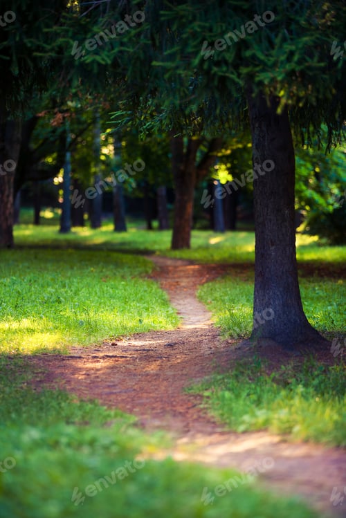 Preview: Beautiful Green Forest