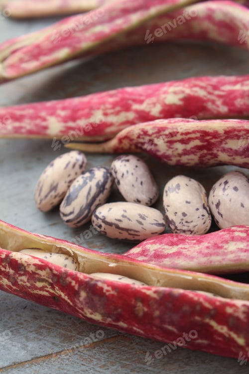 Preview: Fresh Raw Borlotti Beans