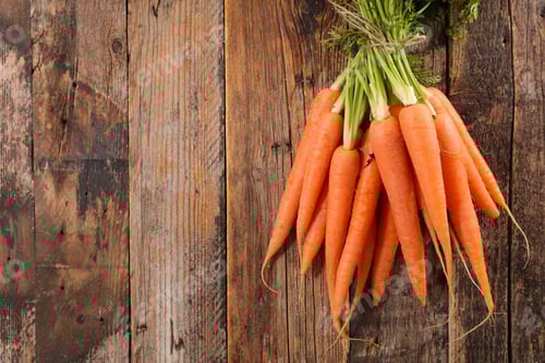 Preview: Fresh Carrot