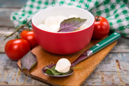 Preview: Fresh Mozzarella With Basilicas On Wooden Plate In Studio