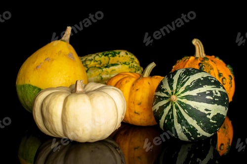 Preview: Group Of Six Whole Beautiful Decorative Gourd Isolated On Black Glass