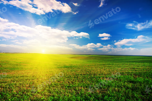 Preview: Green Field