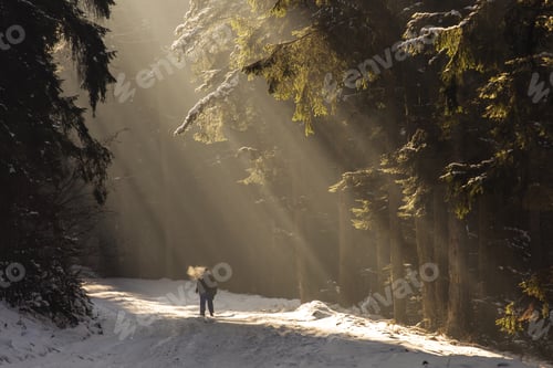 Preview: A Man Walking Trough The Light Into The Forest In Winter Time