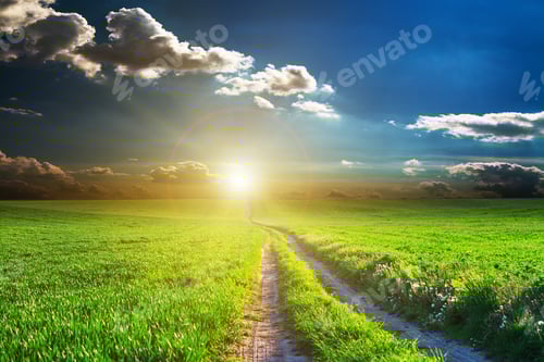 Preview: Green Field And Beautiful Sunset